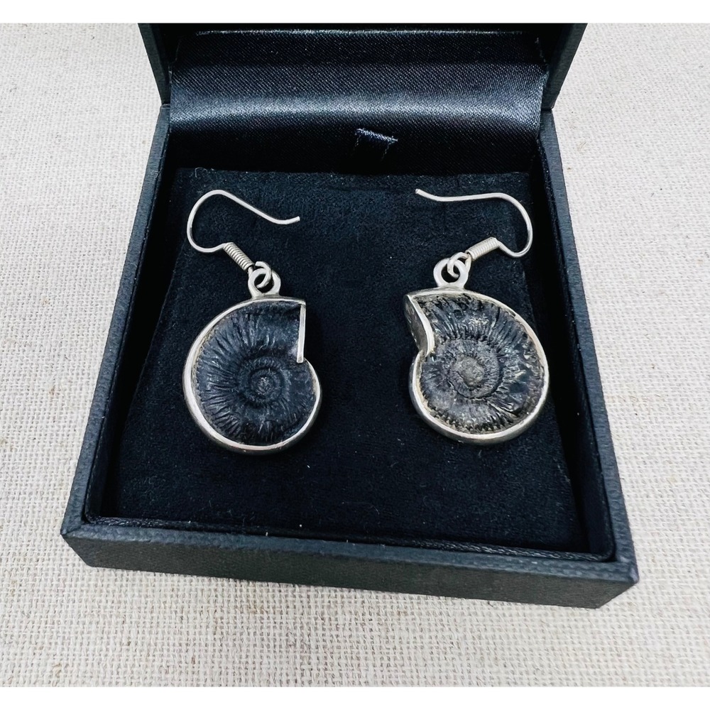 Mexican Sterling Silver Black Ammonite Fossil Drop Hook Earrings